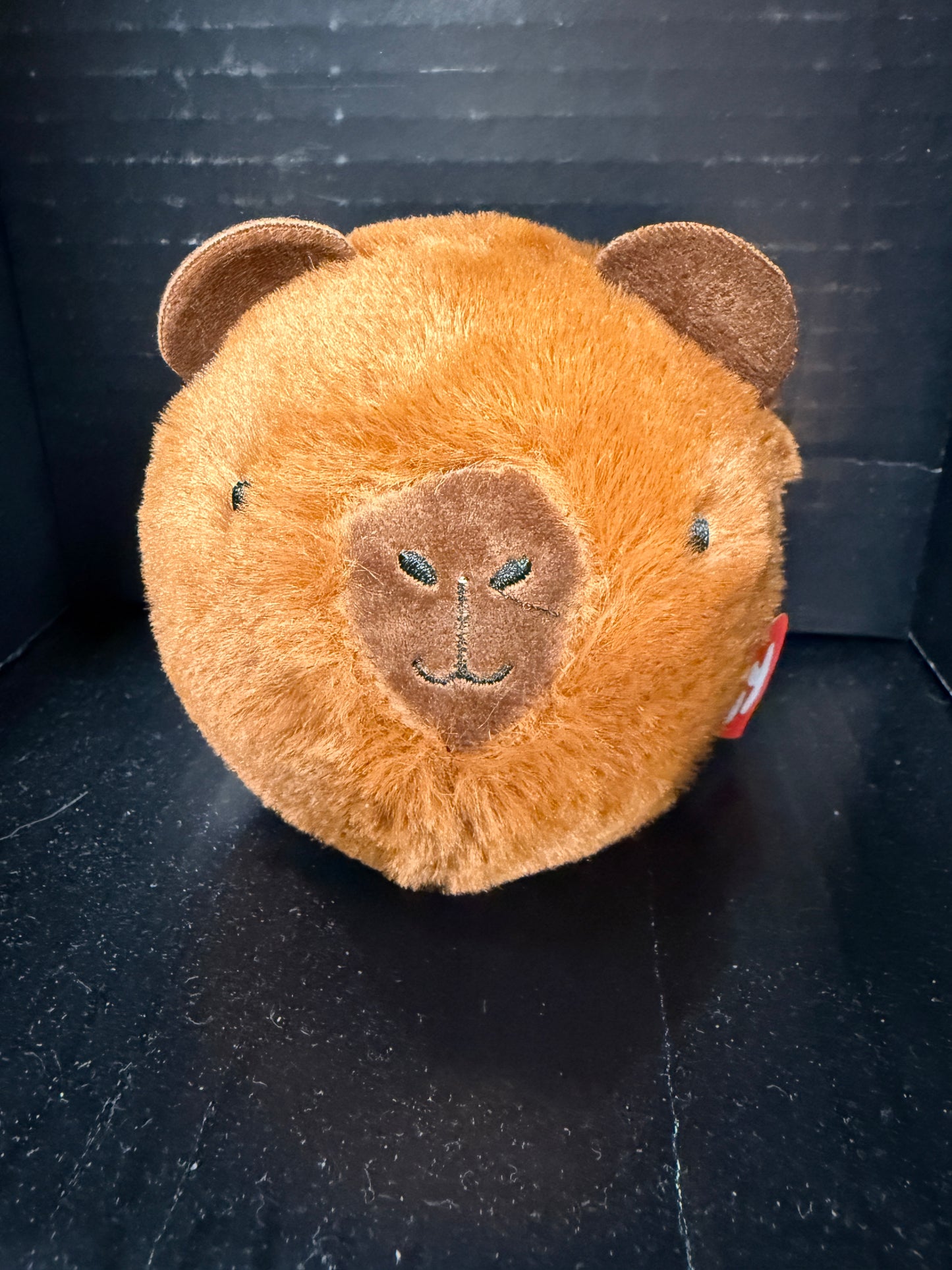 Capybara Beanie Bouncer