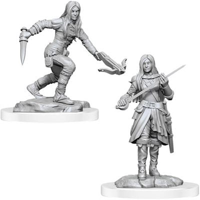 D&D Unpainted Half-Elf Female Rogue (WV17)