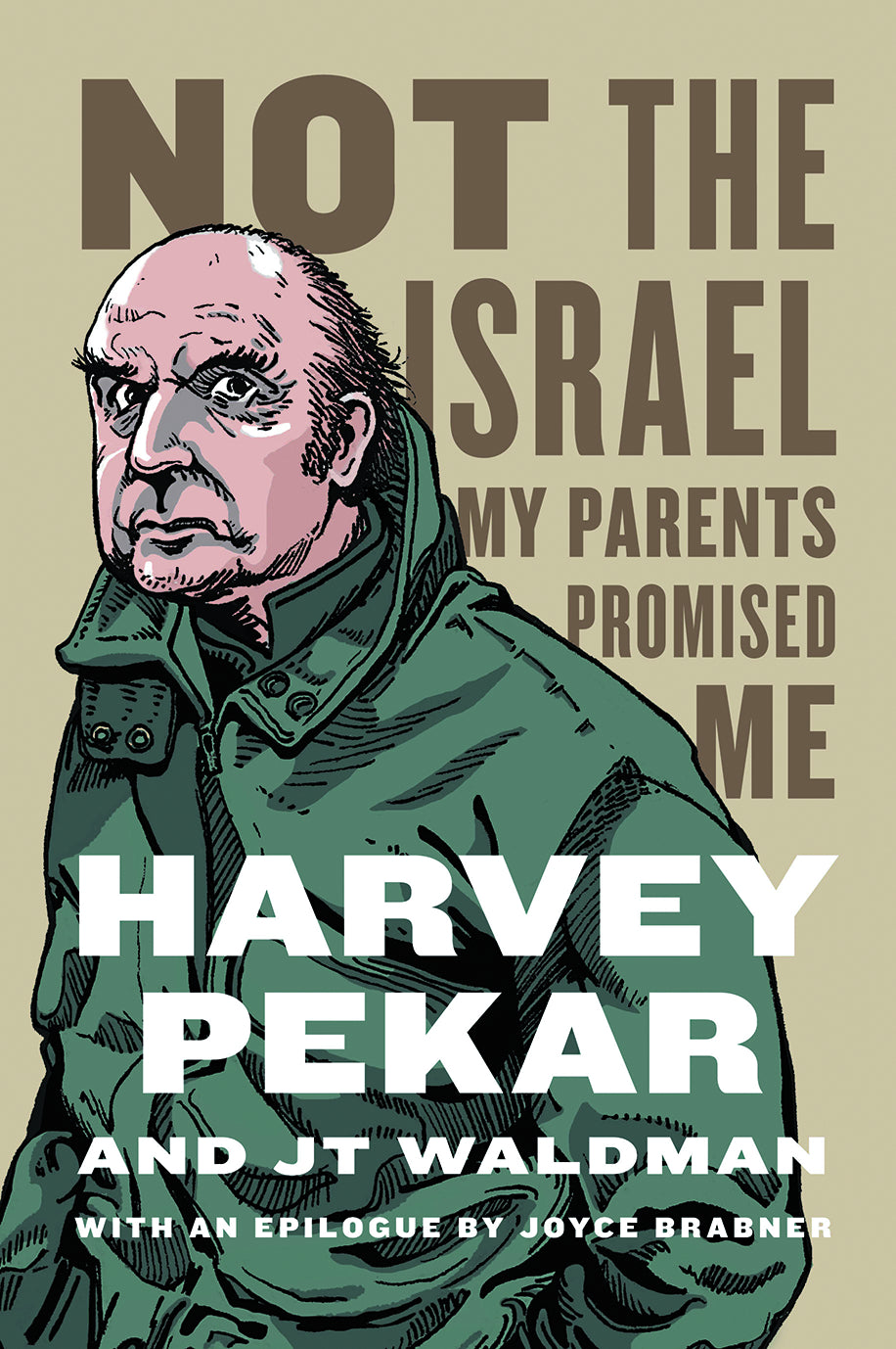 Not the Israel My Parents Promised Me