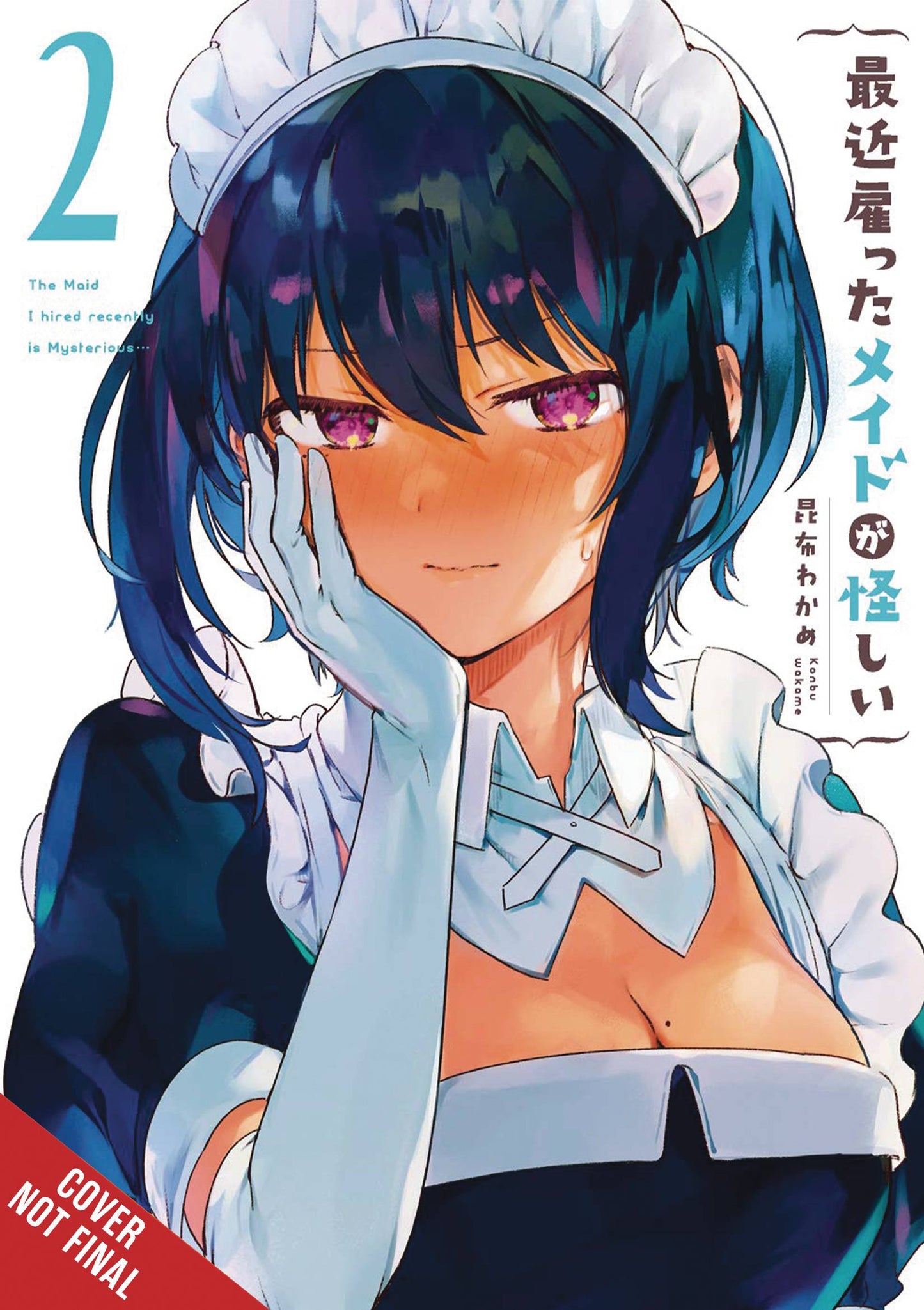 Maid I Hired Recently is Mysterious Vol. 02