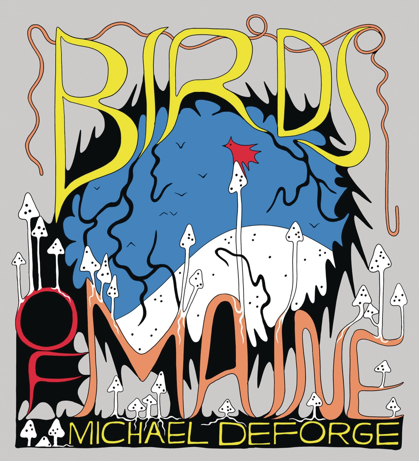 Birds Of Maine Hc