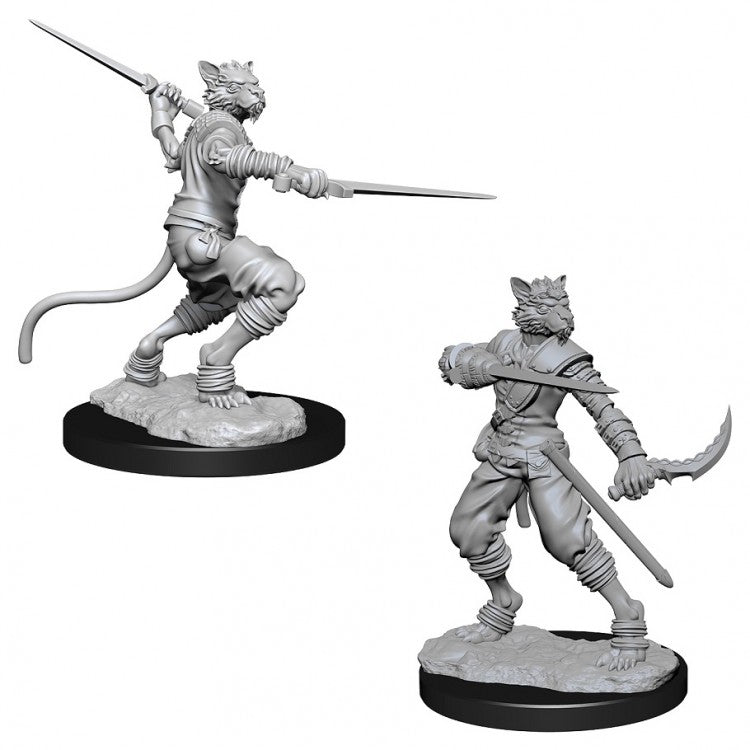 D&D Unpainted Male Tabaxi Rogue