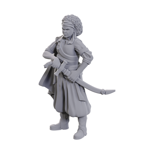D&D Unpainted WV23 Ansalon Human Rogue
