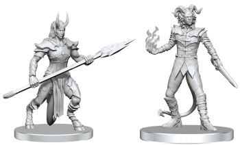 Pathfinder Unpainted Vordine & Pitborn Rogue (WV27)