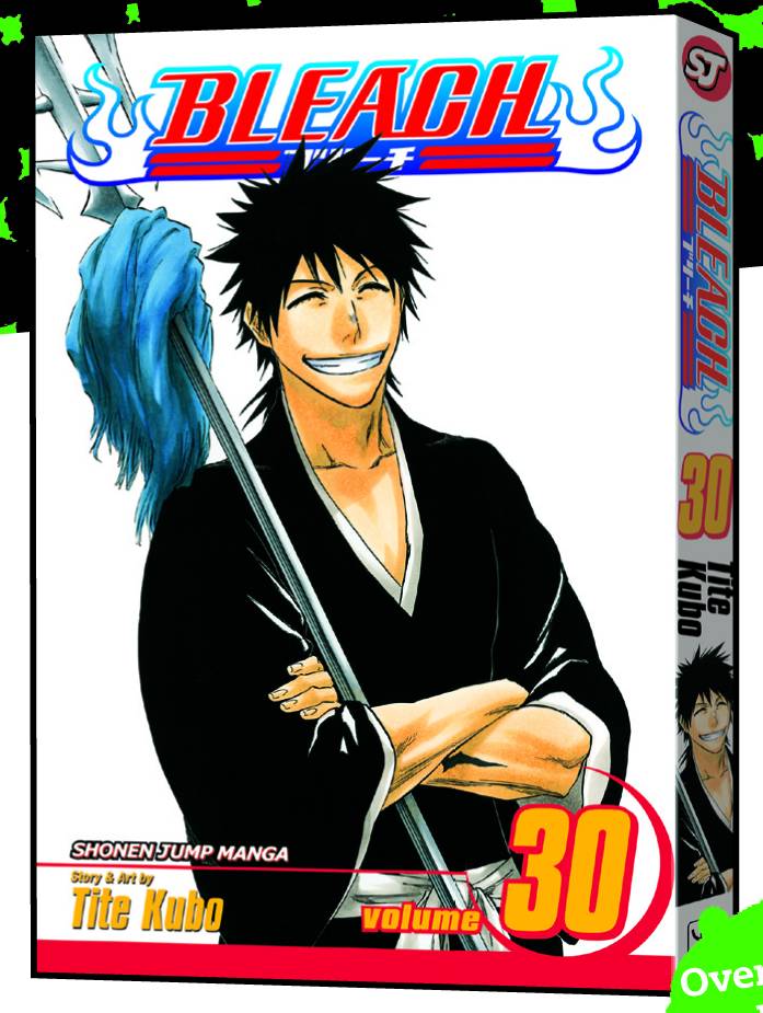 Bleach Vol. 30