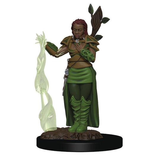 D&D Premium Human Female Druid