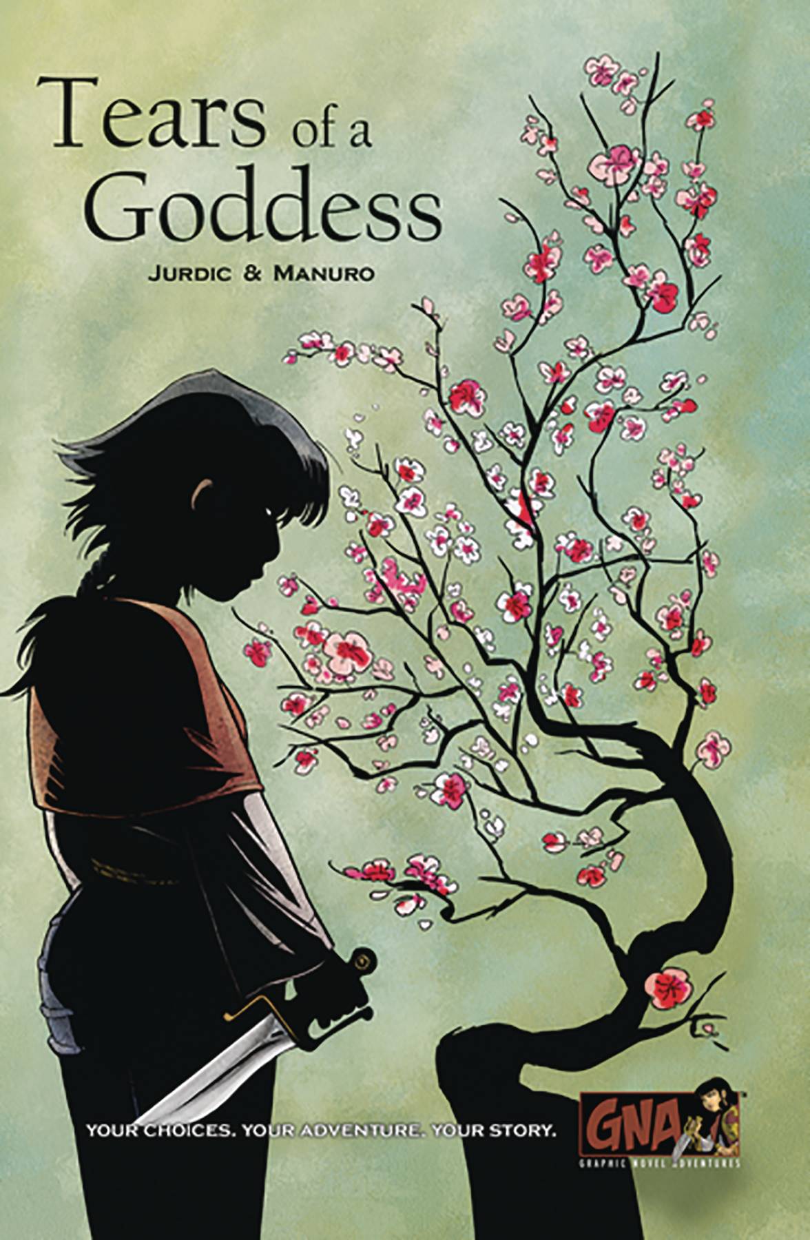 Tears of a Goddess Adventure HC