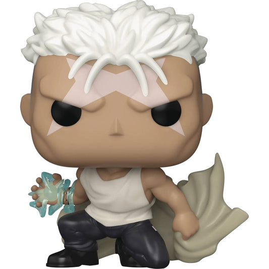 Pop Animation Fullmetal Alchemist Brotherhood Scar Vinyl Figure