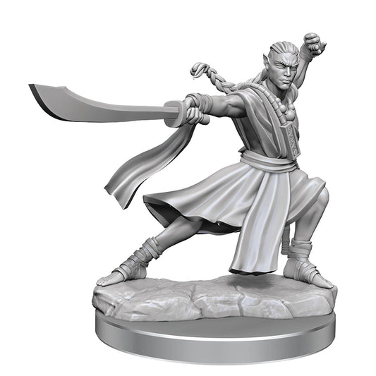 D&D Frameworks Elf Monk Male Miniature