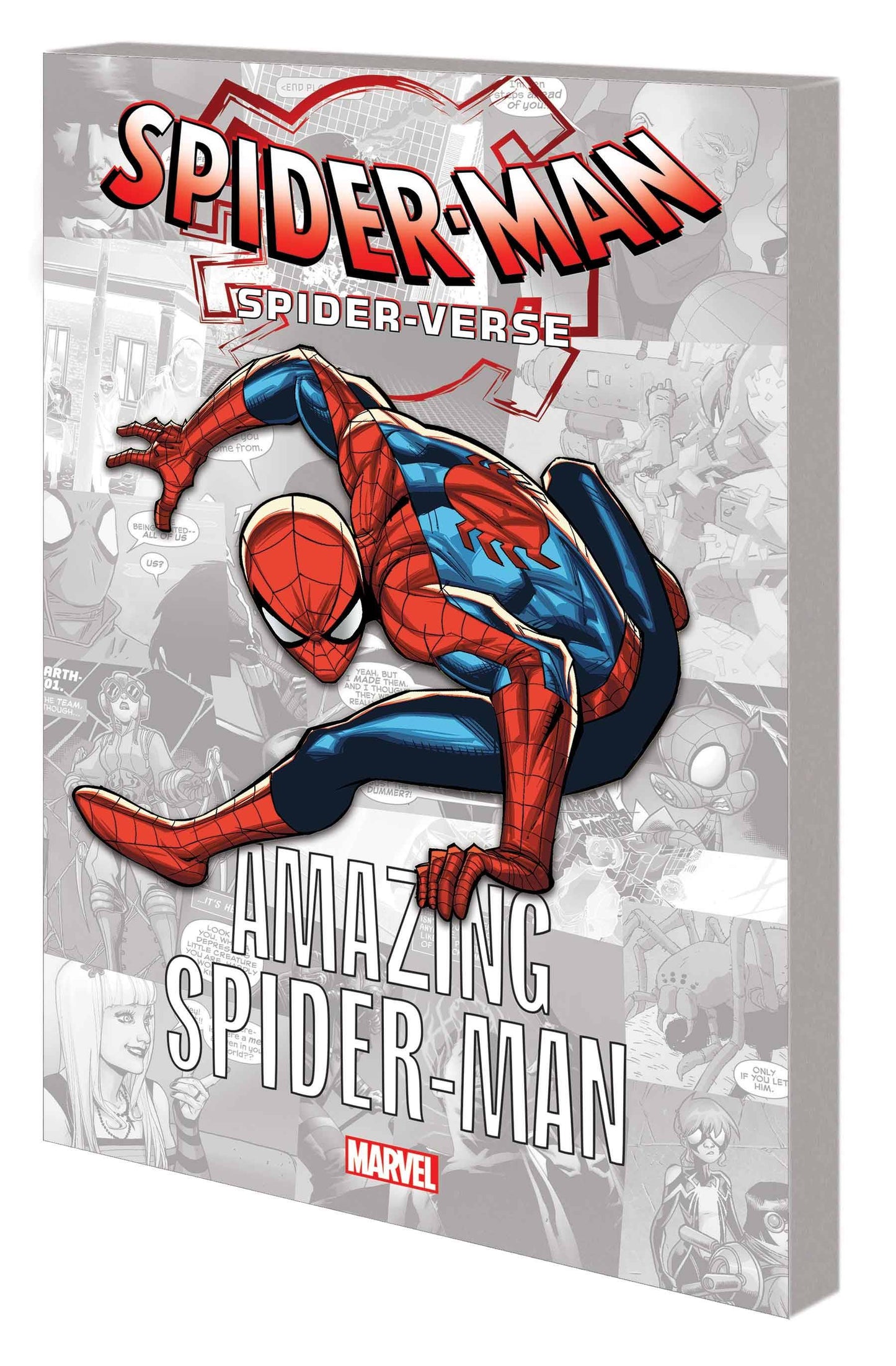 Spider-Verse Amazing Spider-Man