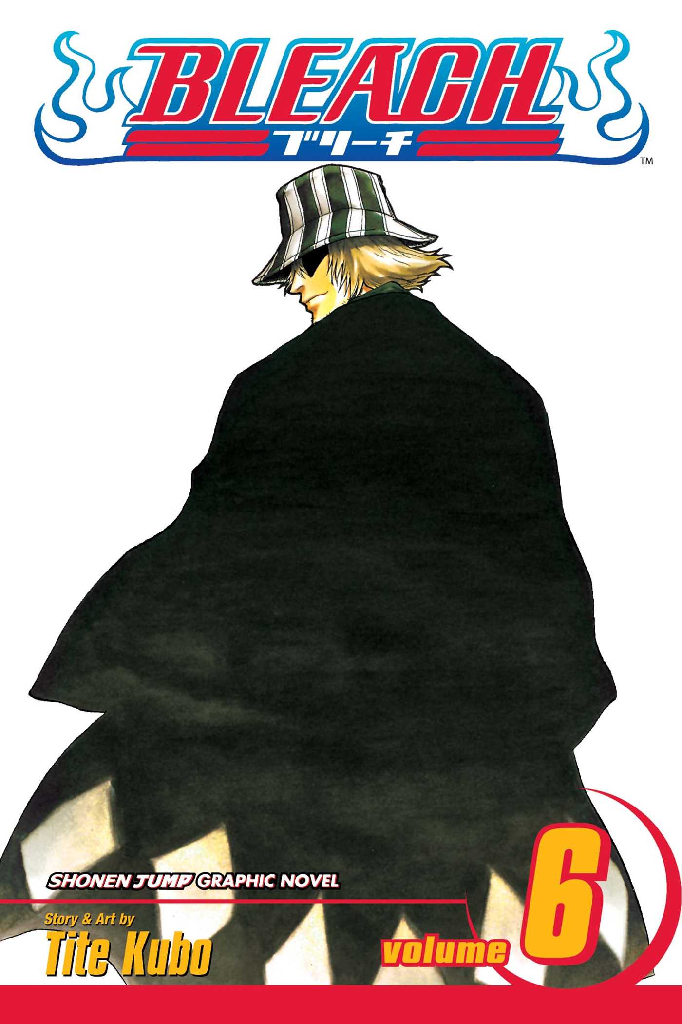 Bleach Vol. 06